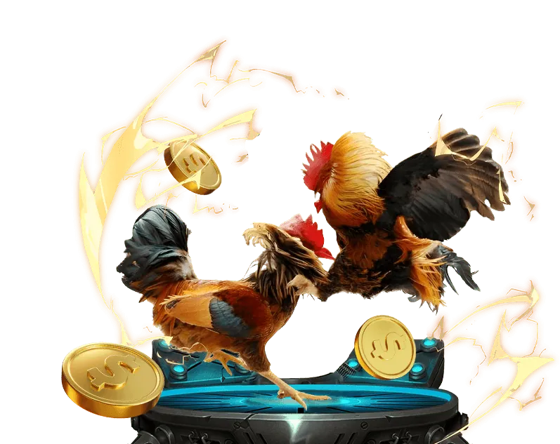 Đá Gà Thomo Trực Tiếp